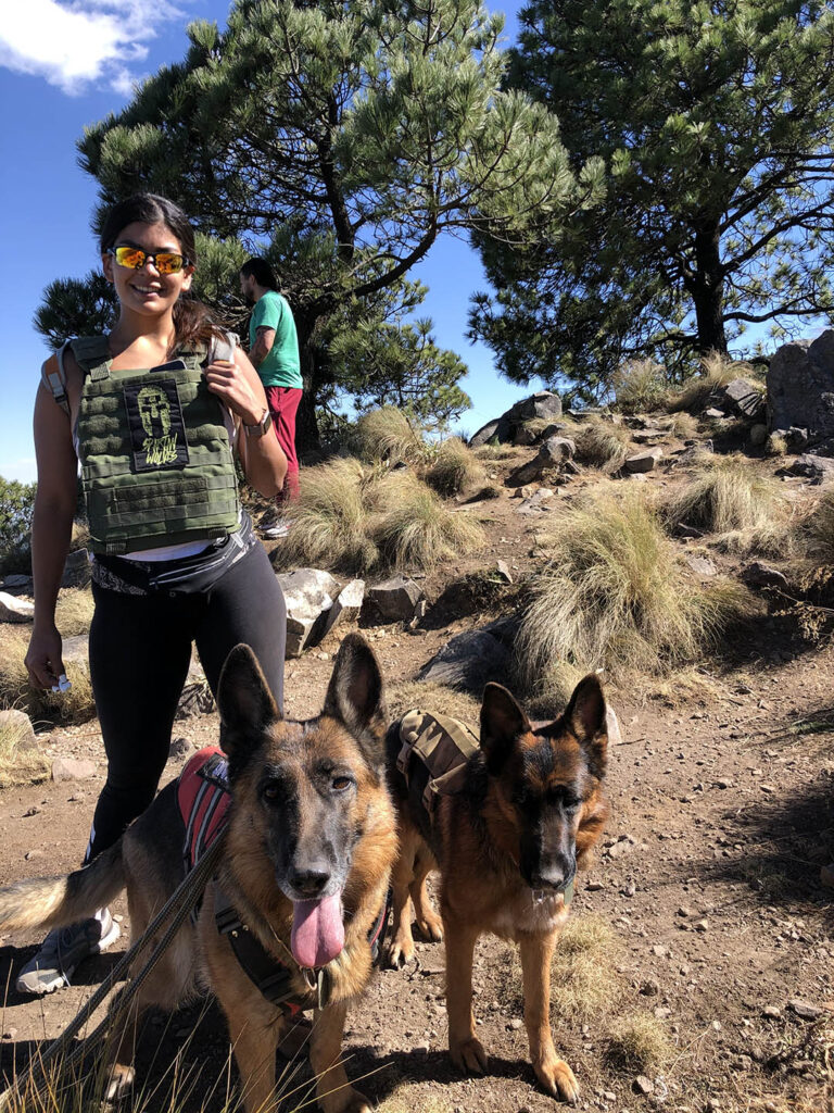 Ajusco Caminata con Perritos