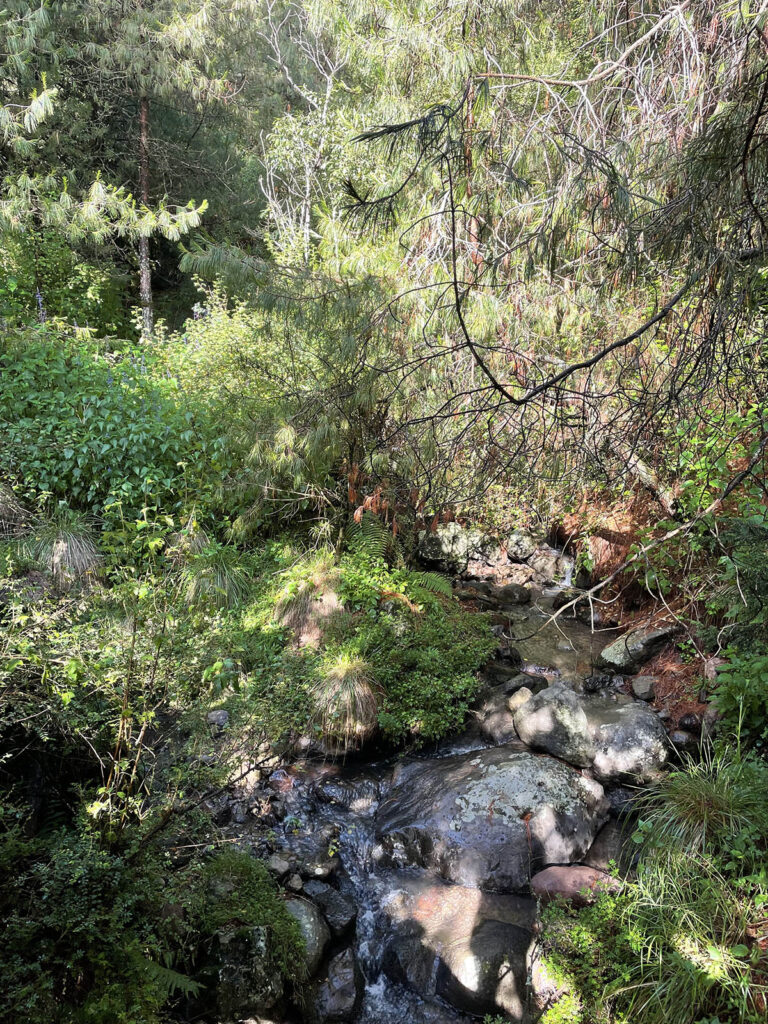 Desierto Agua